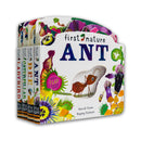 First Nature 4 Books Childrens Collection Set (Ant, Bee, Caterpillar &amp; Ladybird)