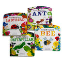 First Nature 4 Books Childrens Collection Set (Ant, Bee, Caterpillar &amp; Ladybird)