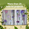 Floret Farm&#39;s A Year in Flowers: Designing Gorgeous Arrangements for Every Season (Flower Arranging Book, Bouquet and Floral Design Book) (Floret Farms X Chronicle Books)