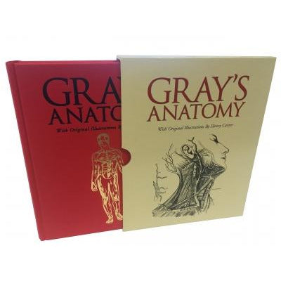 Grays Anatomy - books 4 people